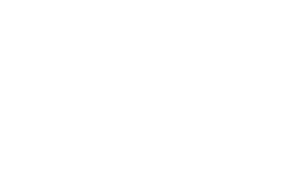 BE-NL Connect